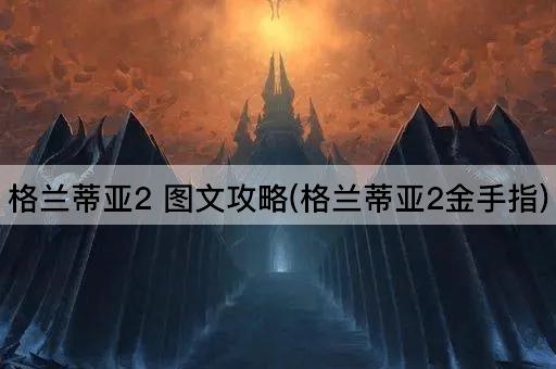 格兰蒂亚2 图文攻略(格兰蒂亚2金手指)