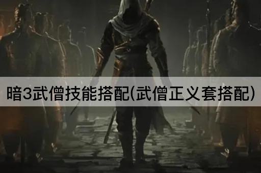 暗3武僧技能搭配(武僧正义套搭配)