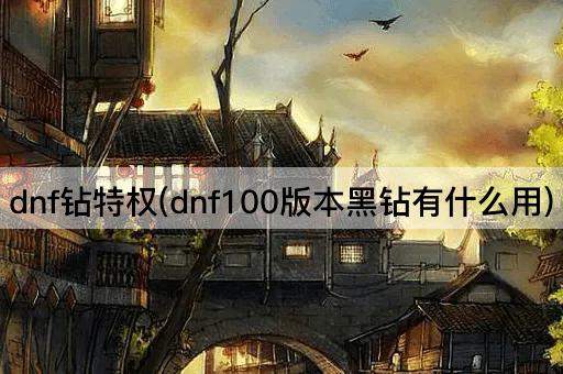 dnf钻特权(dnf100版本黑钻有什么用)