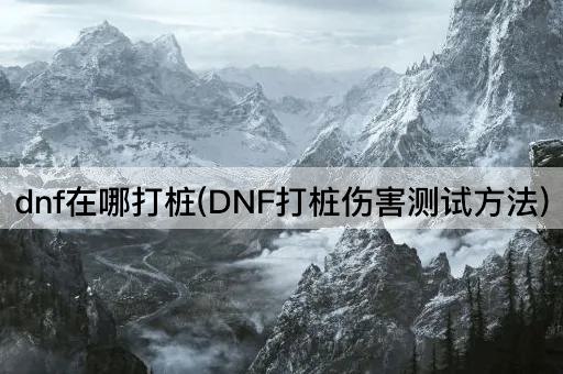 dnf在哪打桩(DNF打桩伤害测试方法)